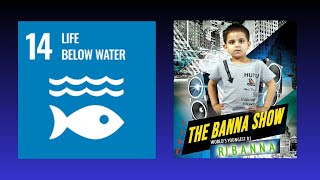 Protecting Life Below Water  SDG 14 Explained by Hassan Hamid  Short Video [upl. by Aidnis291]