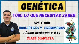 GENETICA CROMOSOMAS ADN Y ARN CODIGO GENETICO NUCLEOTIDOS MUTACIONES BASES NITROGENADAS [upl. by Asiral]