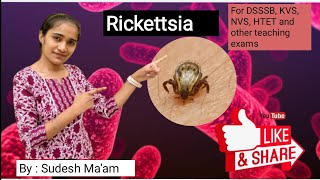 Rickettsia  Applied Biology for DSSSB  By Sudesh Maam [upl. by Kwabena]