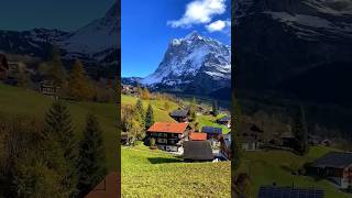 Scenic Relaxation 4K  Scenic Scenes  4K video ultra HD nature shorts amazing beautiful [upl. by Gaynor]