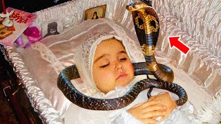 Una serpiente de repente detuvo el funeral de la niña ¡Lo que pasó después fue extraño [upl. by Suruat]