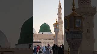 Madina  naat  subscriber  viral  ytshort [upl. by Ahkeber711]