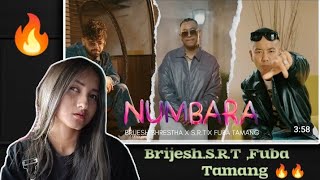 Reaction by NUMBARA  Brijesh Shrestha  SRT  Fuba Tamang [upl. by Oicirbaf]