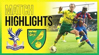 HIGHLIGHTS  Crystal Palace 20 Norwich City [upl. by Cynara]