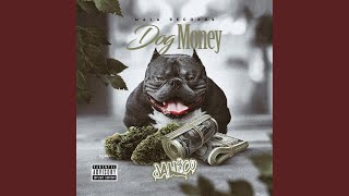 Dog Money [upl. by Oicirbaf]