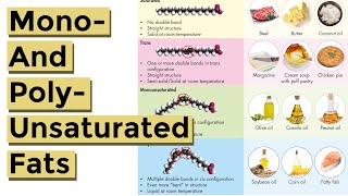 Mono and Polyunsaturated Fat Explained Made Easy to Understand [upl. by Airal893]