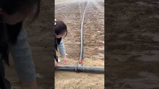 best lawn sprinklers irrigation spray tape shorts knowledge work lawn soil irrigation [upl. by Sigsmond369]