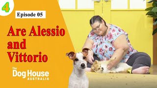 The Dog House Australia  Season 4 Episode 05 Are Alessio and Vittorio [upl. by Samoht]