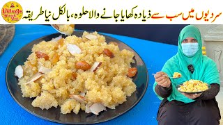 Everyones Favorite Halwa Recipe  Winter Special Halwa Recipe  Easy Recipe  Village Handi Roti [upl. by Dareg]