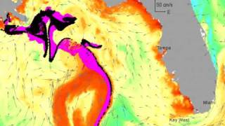 New Animated Oil Forecast Map Spill 250 Miles from Key West by May 24 [upl. by Bendicty480]