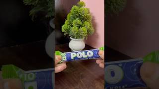 Polo  jeeru popsicle 🍷🍬🍭viralvideo popsicle shortsfeed shorts youtubeshorts funny foodie [upl. by Treacy718]