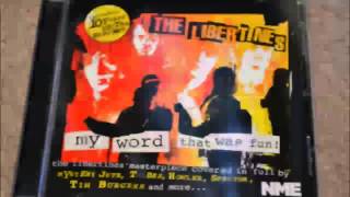 My Word That Was Fun  Libertines Up The Bracket Covers Full Album [upl. by Kciredorb]