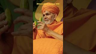 mahant swami maharaj 🙏🏻 1112part11 shorts mahantswamimaharaj youtubeshorts shortvideo 2024 [upl. by Gen]