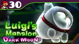 B5 Doggone Key  Luigis Mansion Dark Moon 30 [upl. by Analat]