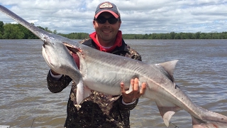 Snagging Paddlefish in Northeast Oklahoma [upl. by Roy]