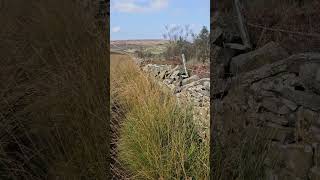 Darwen Moor travel punkatit lancashire darwen darwenmoor nature moor [upl. by Peugia361]