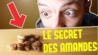 COMMENT FAIRE TREMPER LES AMANDES  ET POURQUOI [upl. by Minta]