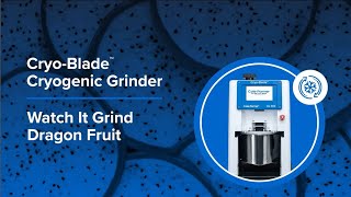 CryoBlade™ Cryogenic Grinder Watch it Grind Dragon Fruit [upl. by Fira637]