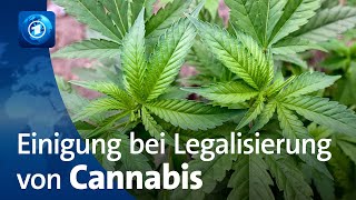 CannabisLegalisierung rückt näher [upl. by Ulah]