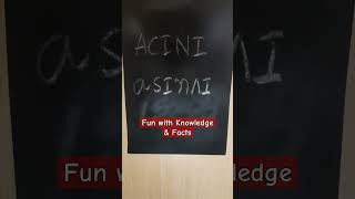 How to pronounce ACINI [upl. by Llevad187]