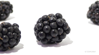 Driscoll’s Blackberries  Pursuit of Flavor [upl. by Alios]