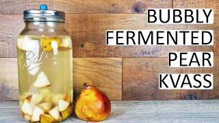 Pear Kvass  A Bubbly Sweet Fermented Soda Drink From Start To Taste Test [upl. by Ranger]