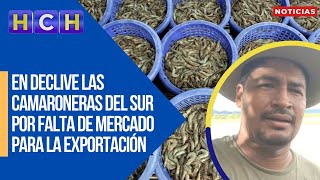 En declive las camaroneras del sur por falta de mercado para la exportación [upl. by Aihsa]