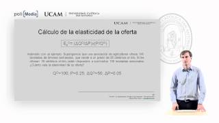 Microeconomía I  La elasticidad de la oferta y de la demanda 6  Alfonso Rosa [upl. by Nodle]