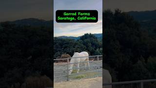 Garrod Farm Saratoga California [upl. by Nairred95]