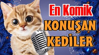 En Komik Bölümler  Konuşan Kediler [upl. by Ornie]