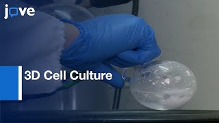 Preparation ChitosanBased Injectable Hydrogels amp Application3D Cell Culture l Protocol Preview [upl. by Longwood]