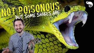 Zoologist Explains Snake Venom  Poisonous vs Venomous amp How Venom Kills [upl. by Annahsed]