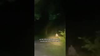 Skinwalker Tried To Lure Him cryptids paranormal [upl. by Lladnik]