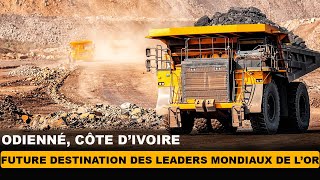 Côte dIvoire 2030  Acteur majeur dans la production mondiale dOr et des métaux critiques [upl. by Hadeehsar]