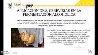 Saccharomyces Cerevisiae en la producción de bebidas alcohólicas [upl. by Obe]