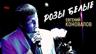 РОЗЫ БЕЛЫЕ  ХИТ 100 Евгений КОНОВАЛОВ [upl. by Heaps]