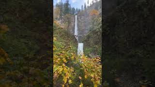 😍 Multnomah Falls 🍁 multnomahfalls oregon portland waterfall columbiarivergorge fall [upl. by Picardi296]