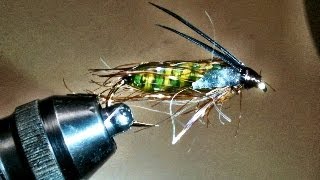 Clear Goo Caddis Pupa Fly Pattern [upl. by Anitsihc]