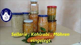 Sellerie  Kohlrabi  Möhren einlegen [upl. by Jehiel]