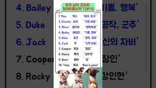 Most Popular Boy Dog Names  2023 남자강아지 영어이름 TOP10  강아지 영어이름 추천  강아지 이름 [upl. by Nissensohn67]