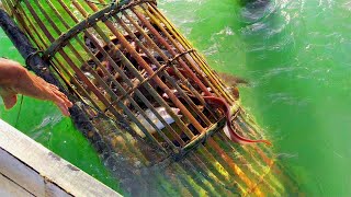 Amazing Fishing  Easy way to trap fish  Fish trap homemade [upl. by Tama]