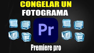 Como congelar un fotograma en Premiere Pro [upl. by Fry]