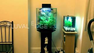 5 Modern and Stylish Aquariums [upl. by Wisnicki140]