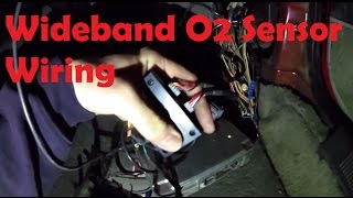 Easy Wideband O2 Sensor Wiring Stinger PiMP ECU Foxbody Mustang [upl. by Sherie585]