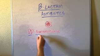 How BLactam Penicillin Antibiotics Work [upl. by Arymahs]