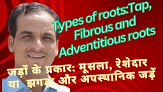 Types of RootsTap Fibrous amp Adventitious roots जड़ों के प्रकारमूसलारेशेदार और अपस्थानिक जड़ें [upl. by Lothario]