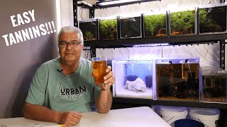 How to add easy Tannins to your aquarium [upl. by Airehtfele630]