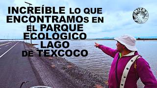 Conociendo el Parque Ecologico Lago de Texcoco [upl. by Aubrie]