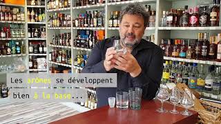 Tuto  quel verre pour quel rhum  rhumagricole rhumvieux rhum cavisteparis tuto degustation [upl. by Eeramit]