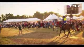 Highlights 2010 WEG  Individual Endurance [upl. by Ecined]